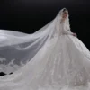 Off-the-Shoulder Sequin Lace Ball Gown Wedding Dress - Long Veil Bridal Gown with Train
