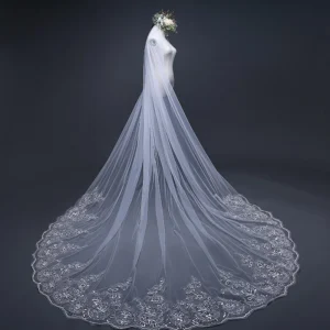 Cathedral Lace Wedding Veil