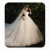 Elegant Off-the-Shoulder Ball Gown Wedding Dress with Cathedral Train & Tulle Veil