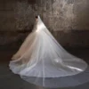 Luxury Sparkle Tulle Ball Gown Wedding Dress with Extra Long Cathedral Train