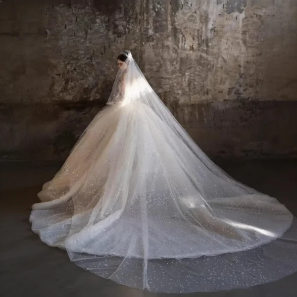 Luxury Sparkle Tulle Ball Gown Wedding Dress with Extra Long Cathedral Train