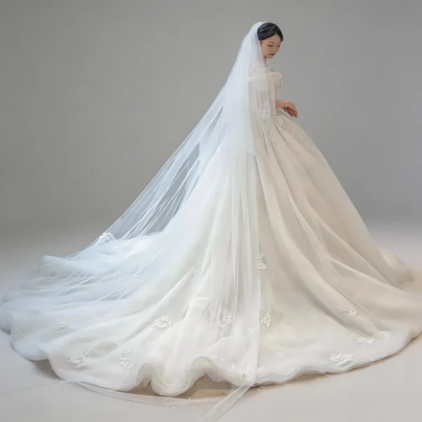 Off-the-Shoulder Tulle Ball Gown Wedding Dress