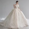 Off-the-Shoulder Lace Ball Gown Wedding Dress