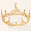 Luxury Vintage Gold Floral Bridal Crown | Alloy Diamond Full Round Tiara for Wedding