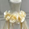 Champagne Dropped Waist Bridal Gown