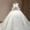 Luxury Whimsical Tulle Ball Gown