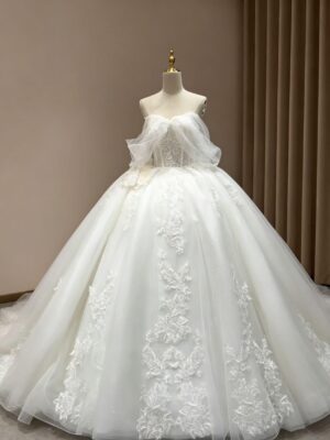 Luxury Whimsical Tulle Ball Gown