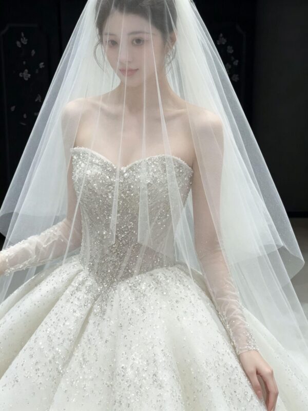 Sparkly Glitter Ball Gown