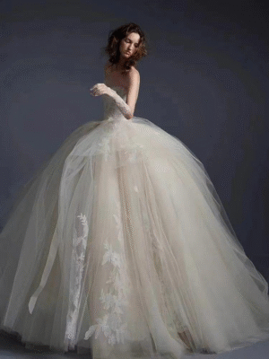 Ivory Strapless Lace Applique Tulle Ball Gown